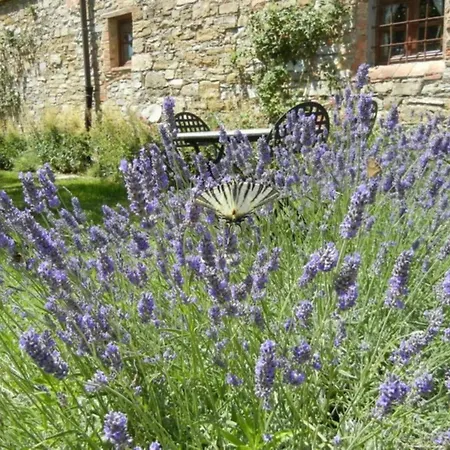 Lavanda 1 Mit Veranda By Interhome Apartment *